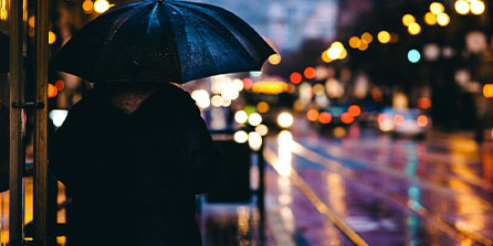 开云竞猜官网-世界杯后重建计划全面启动，世界杯之后的赛程